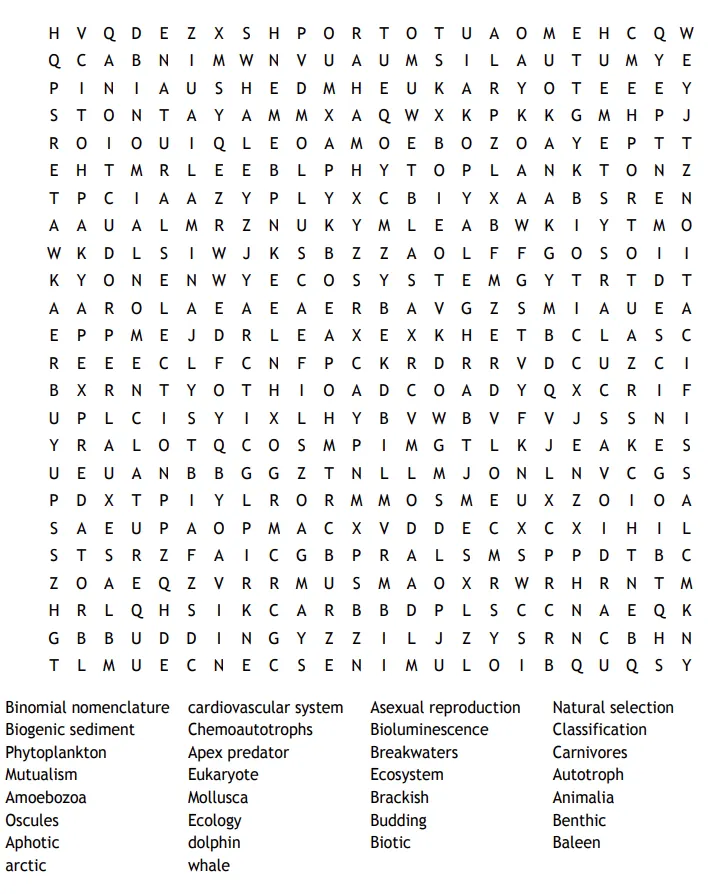 Clear word search screenshot with grid and word list visible